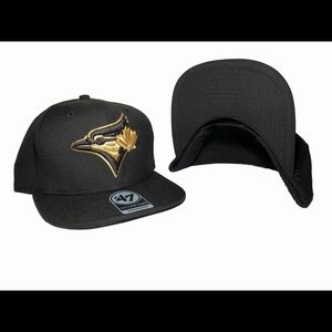 Toronto Blue Jays 47 Brand Snapback